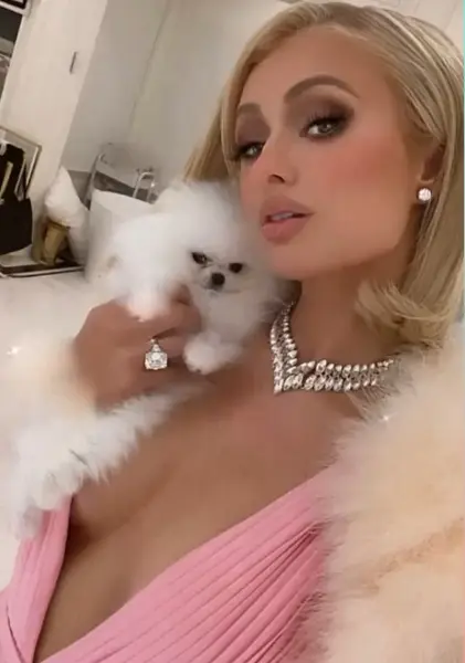 ‘Delusional’ Paris Hilton roasted by fans for claiming she’s ‘self-made’